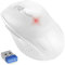 TECKNET Silent Maus Kabellose, 4800DPI 2.4GHz Leise Funkmaus mit Nano Empfänger, Side Control, Ohne Klickgeräusche, 6 Verstellbare DPI Level, Sechs Knöpfe Wireless Maus für Büro Zuhause, Schwarz