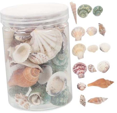WOONEKY Aquarium Muscheln Dekoration Natürliche Conch Shell Handwerk Für Home Tisch