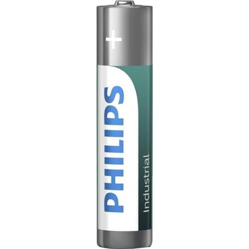 Philips Industrial Alkaline Batterien AAA Silber/grün 10 Stück