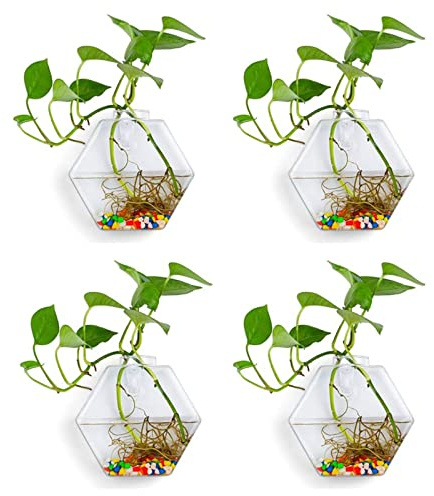 MISNODE 4 Stück Wandbehang Pflanzen-Terrarium Glas Pflanzgefäß, sechseckige Glasvase, Wandmontage, Glas-Blumentopf für Home Office Dekoration, Wasser-Blumentöpfe