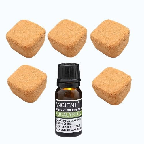 Luxury Aromatherapy Shower Steamers Gift Set - 5X Jumbo 80g Revitalise Shower Bombs (Orange & Bergamot) & 10ml Pure Eucalyptus Essential Oil - Invigorating Morning Energy Pamper Hamper