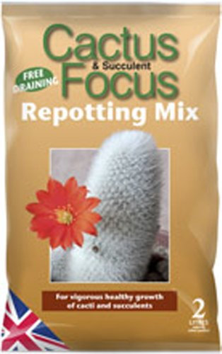 Growth Technology Cactus Focus Repotting Mix, 2L