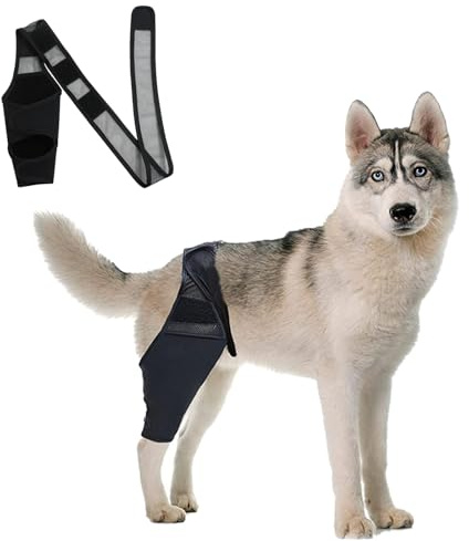 DKDDSSS Kniebandage Hund Hinterbein - Bandage für Hund mit Kreuzbandriss, Recovery Sleeve Hund - Unterstützung und Schutz für Hinterbein