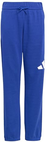 adidas Unisex niños Essentials Big Logo Pants, Team Royal Blue/White, 9-10 Years