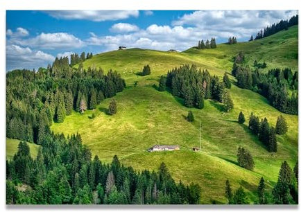 xukgmsg Capanna Nel Bosco Tela Arte Murale Foresta Paesaggio Dipinto Alberi Moderni Natura Quadro Stampa Su Tela Arte Murale Alberi Arte Naturale Per Casa Ufficio Soggiorno Camera Da Letto 60x40cm