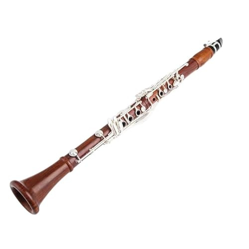 Klarinette Professionelle B-Klarinette Aus Palisander Versilberte Klappen Tragbares Und Langlebiges Klarinetteninstrument