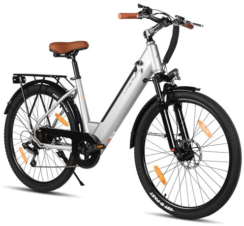 Hiland 26 Zoll 250W Elektrofahrrad, Elektro Citybike mit 36V 7.8Ah Akku, 7 Gang Elektrofahrrad für Männer Frauen mit Hartstahl Rahmen, Grau City Pendlerfahrrad für Erwachsene