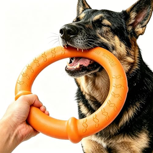 LaRoo Unzerstörbare Schwimmende Hundefrisbee für Mittelgroße Hunde - 30 cm, Zahnpflege-Kauspielzeug für Hunde, Sommer Training & Fitness, Agility Spielzeug, Zahnpflege, Zerrspielzeug(Orange)