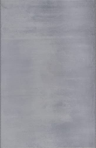 Mia´s Teppiche Luna kuschelig Warmer Fellteppich, weich und elegant, waschbar und Fußbodenheizung geeignet, Öko-Tex Zertifiziert, Hellgrau, 70 x 140 cm