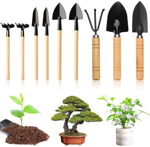 Garden Tools Set, 9PCS Succulent Plants Tools, Mini Garden Tools, Transplanting Gardening Tool Home Tiny Gardening Kit for Small Flower Garden Plants Care