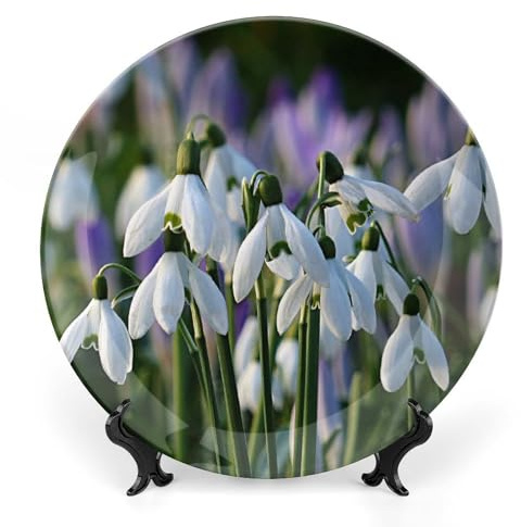 Flower Snowdrop Decorative Plate for Wall Home Wobble-Plate with Display Stand Table Decor Ornament Ceramic Dinner Plate Dessert Dish Holiday Home Decoration 10