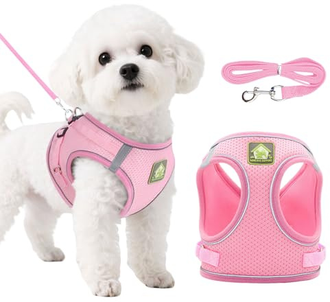 DOINEUFL Puppy Harness, Dog Harness and Leash Set, Soft Mesh Reflective Breathable Lightweight Vest-Style Dog Harnesses with Safety Buckle for Small and Medium Dogs, Cats, Puppies (Pink, S)