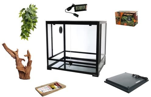 Komplettset: Für Frösche/Pacman Frösche Terrarium OHNE! Terrarium