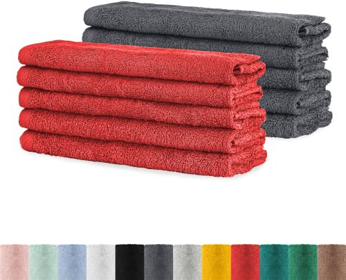 BaSaTex - Handtuch Set für Gäste 10er Pack - Frottee-Handtücher mit Aufhängeschlaufe aus weicher Baumwolle in 30x50cm - Waschtücher für Gäste Öko-Tex Standard 100 Zertifiziert - Anthrazit & Rubin