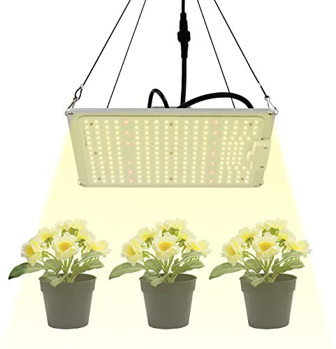 Lampe LED à spectre complet pour plantes - Intensité variable - 110 W - Pour culture hydroponique - Plantation intérieure de fleurs et légumes