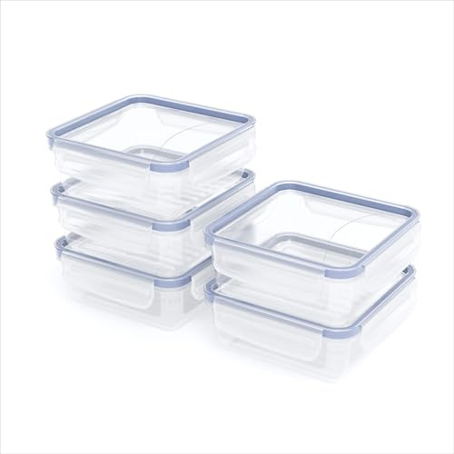 Rotho Clic & Lock Frischhaltedosen mit Deckel 0,8 L 5er-Set auslaufsicher | Aufbewahrungsboxen für Lebensmittel im 5er-Set, auslaufsicherer Clip-Verschluss, mikrowellen- und spülmaschinengeeignet
