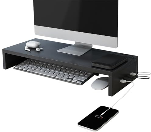 ETUCYNG Skärmhöjare | Ergonomiskt stativ med 4 USB-portar | för bärbar dator och skrivbord, för bärbar dator skrivare elektronisk bärbar dator hem