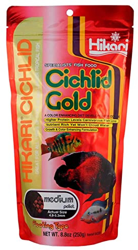 Hikari Fischfutter Cichlidgold Medium 250 g, 1er Pack (1 x 250 g)