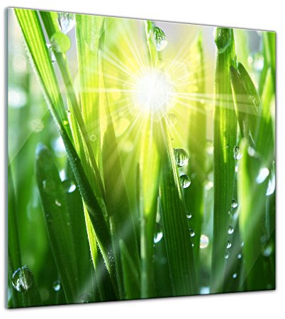 Bilderdepot24 Glasbild - Gras II - 30x30 cm - Deko Glas - Wandbild aus Glas - Bild auf Glas - moderne Bilderdepot24 Glasbilder - Glasfoto - Echtglas