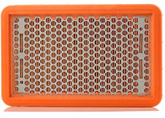 MANN-FILTER C 2666 Luftfilter - för Bil+Lätt lastbil