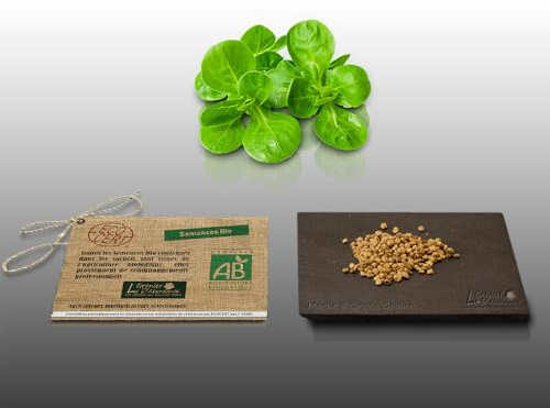 250 graines Bio à semer - Le Grenier d'Abondance - MACHE Doucette - Certifié AB - Valerianella locusta