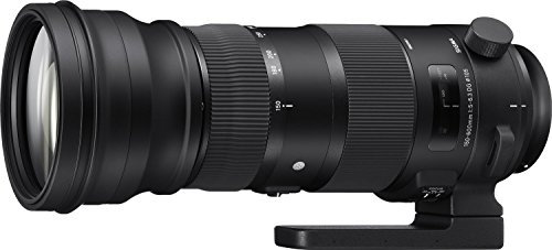 Sigma 150-600mm-F/5-6.3 Sport, Obiettivo con Attacco Canon, Nero