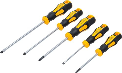 BGS Diy 7946 | Jeu de tournevis | 5 pièces