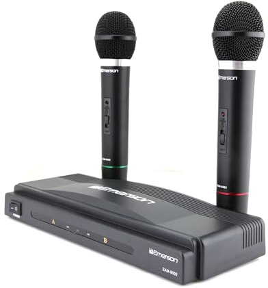 Professional Dual Wireless Microphone Kit