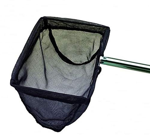 Interpet Blagdon Pond Fine Fish Net 8 x 6 with Handle