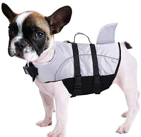 Queenmore Ripstop Hunde-Schwimmweste, Hai-Schwimmweste für Hunde, Sicherheits-Lebensretter mit hohem Auftrieb und Hebegriff für kleine und mittlere Rassen (Grau M) | Welpen-Schwimmweste, leicht, mit hohem Auftrieb, Hebegriff/Leinenhaken, Grau, Größe M