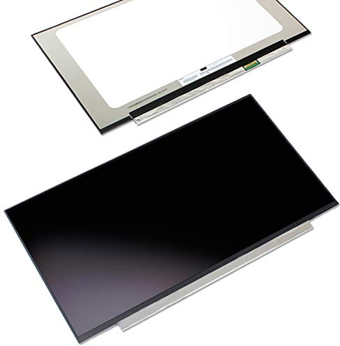Laptiptop 15,6 LED Display matt passend für HP Elitebook 755 G5 3UN79EA IPS Bildschirm Full-HD