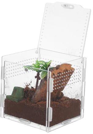 Parliky Terrarium Für Reptilien Und Spinnen Transparente Zuchtbox Für Haustiere Fluchtgeschützt Und Sicher Für Kleine Geckos Und Spinnen
