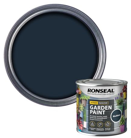 Ronseal RSLGPBLKB250 GPBLKB250 Garden Paint Black Bird 250ml, 250 ml