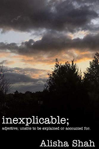 inexplicable: adjective; unable to be explained or accounted for.