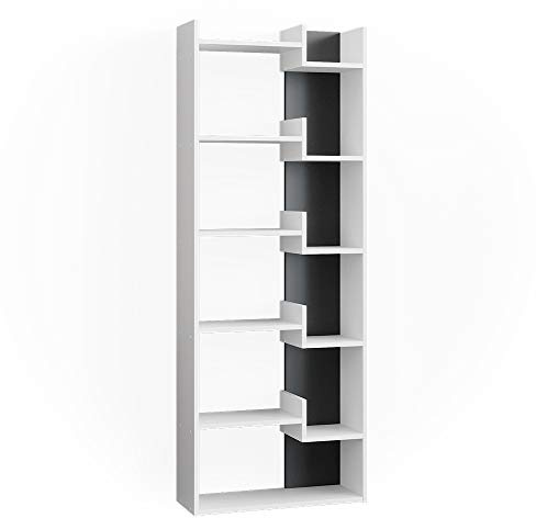 Vicco Raumteiler Fico, Anthrazit, 61 x 160.2 cm | zur Raumtrennung und Aufbewahrung mit offenem Regalaufbau