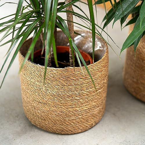 DARO DEKO Seegras Korb rund Natur Ø 27 x 24 mit Einsatz Blumentopf geflochten Aufbewahrungskorb Über-Topf Blumenkorb