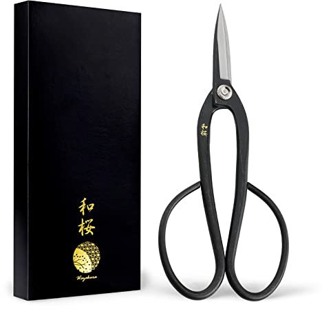Wazakura Bonsai Schere - Ashinaga Modell, Yasugi Stahl, 20 cm, Made in Japan - Schere zum Trimmen von Ästen, Blättern, Wurzeln und Trieben