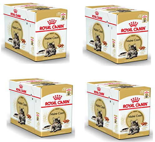 Royal Canin Maine Coon Adult | 4er Pack | 4 x 12 x 85 g | Nassfutter für Katzen | Speziell auf die Bedürfnisse von Maine Coon Katzen abgestimmt | Angepasster Energiegehalt