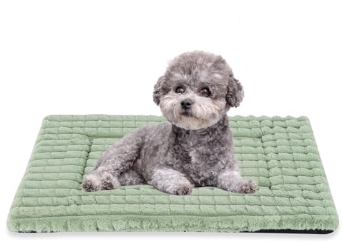 BVAGSS Dog Bed Washable Crate Mattress,Anti-Slip Memory Foam Soft Warm Pet Cushion for Small Medium Dogs, Calming Fluffy Sleeping Kennel Pad XH082 (30''x20'',Green)