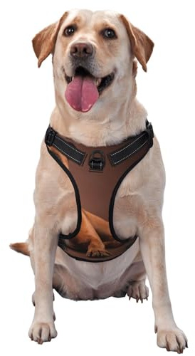 Boxer allongé et Cool,Harnais pour Animaux de Compagnie, Harnais réfléchissant réglable pour Chien,M