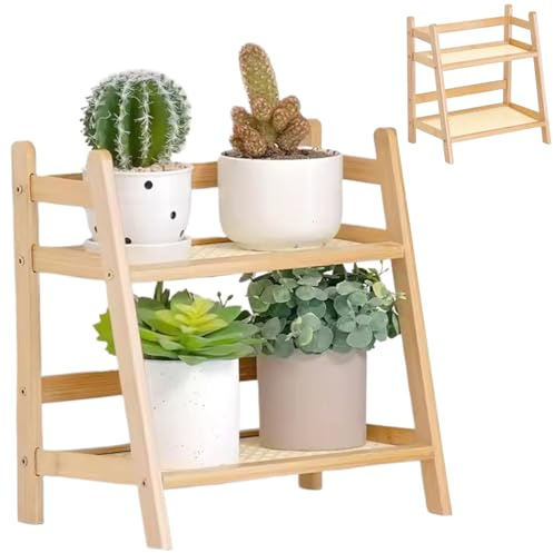 JZLEJC 10.6x7.1x11.2 Inch 2-Tier Rattan Desk Organizer, Wooden Shelf for Office, Home, Flower Pot Stand