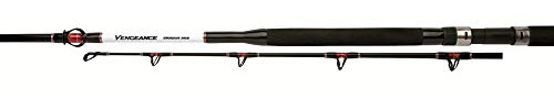 Shimano Vengeance Standup Angelrute 20-30 lb