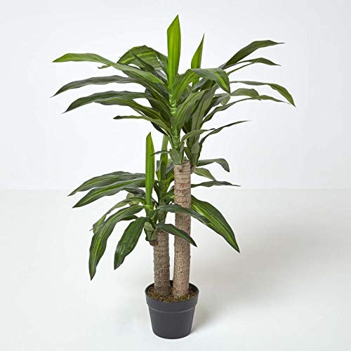 Homescapes künstlicher Dracaena Fragrans/Drachenbaum, dekorative Kunstpflanze im Topf, hochwertige Dekopflanze, naturgetreue Indoor-Pflanze, Drachepalme, 90 cm
