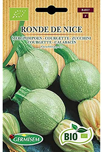 Germisem Bio Graines Courgette RONDE DE NICE