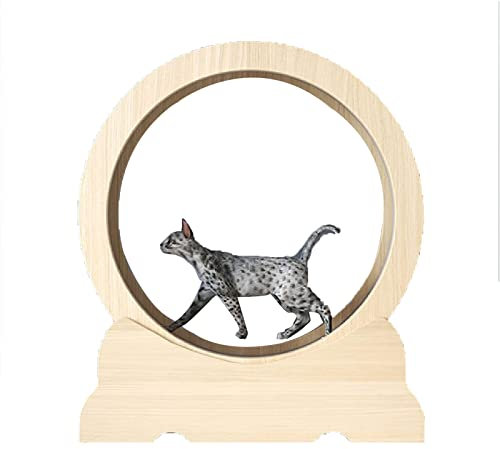 esmen Hundelaufband Laufrad für Katzen, Laufrad für Katzen, Laufband mit Laufsteg mit Teppichboden, Gerät zur Gewichtsabnahme für Katzen, zur Gewichtsabnahme und zum täglichen Training