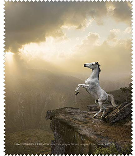 Bridgeman Art Library Microfasertuch/Brillenputztuch White Beauty RBT308