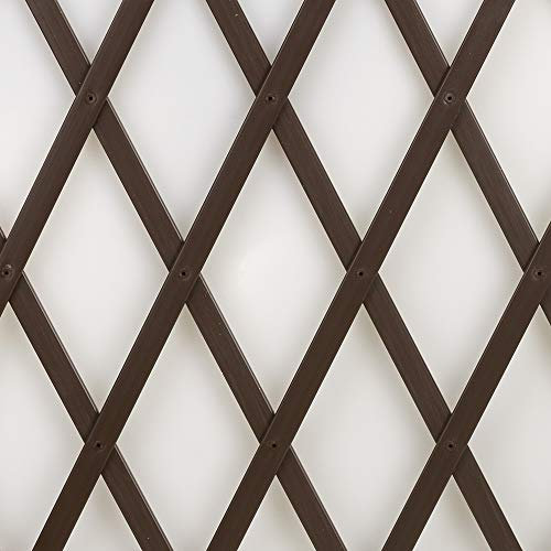 Treplas 0,50x2 m, Marrone, Traliccio Estensibile in PVC per Sostegno a Muro di Fiori e Piante Rampicanti