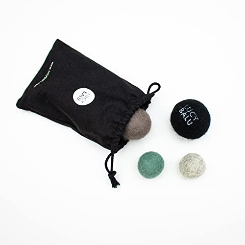 LucyBalu® Filtbollar för katter 4 stycken I Joy Bag kattleksak I 4 färgglada kattbollar av filt (100 % fårull I naturlig leksak för katter