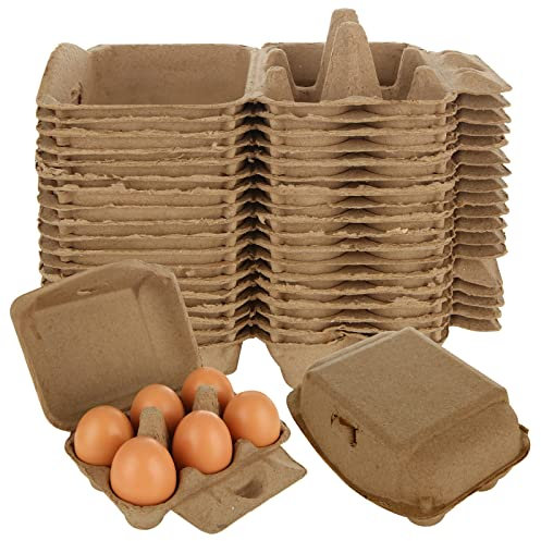 LDXDRU 40 scatole per uova, 6 pezzi, in cartone, per uova di quaglia, per uova di gallina