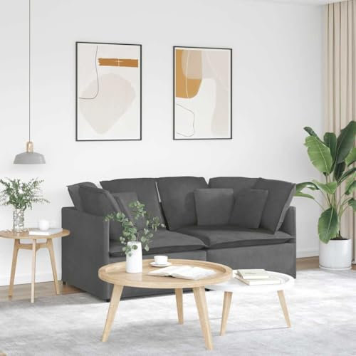IKAYAA Sofa 2 Sitzer 200 x 100 x 64 cm, Kleines Sofa, Modern Sofa, Zweisitzer Sofa, Getuftetes Kleine Couch für Wohnzimmer/Schlafzimmer/Büro/Wohnung, Dunkelgrau